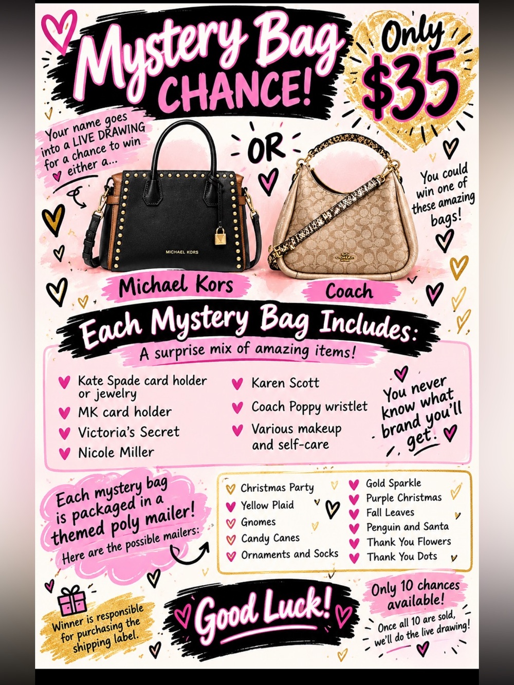Michael Kors/Coach Mystery Bag Chance - Black & Tan Handbag Options